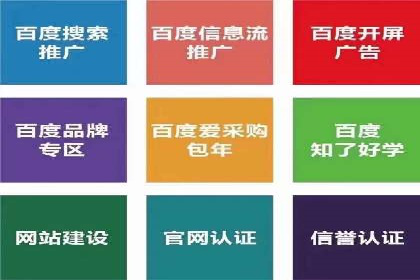 SEM竞价代运营：案例见证品牌知名度提升
